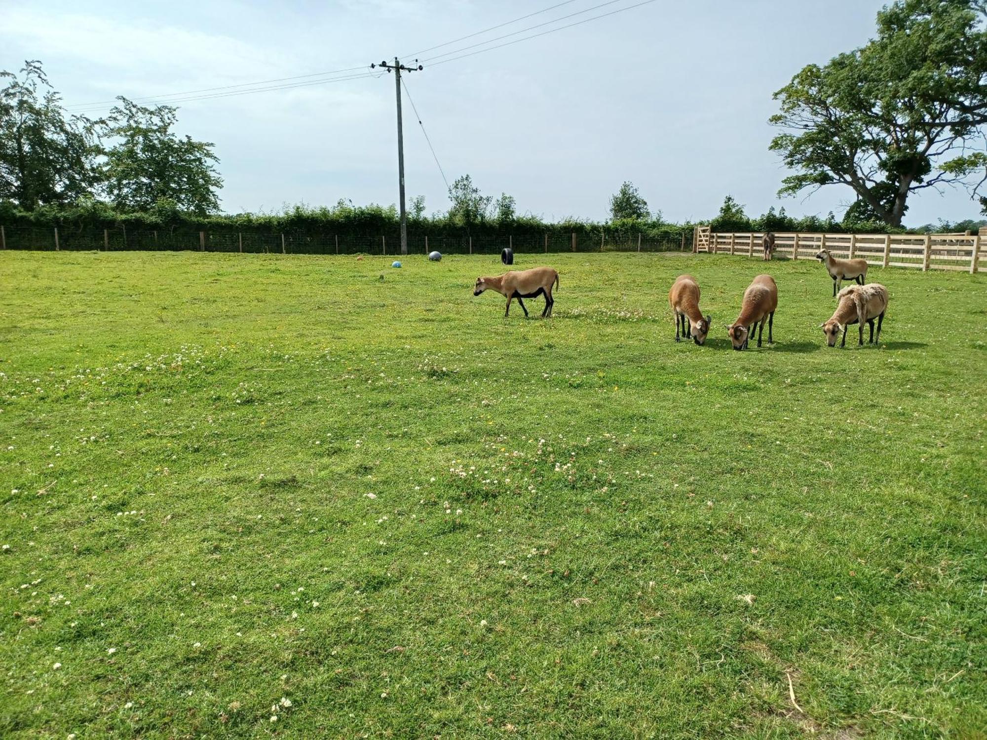 Green View Lodges Wigton Exterior photo